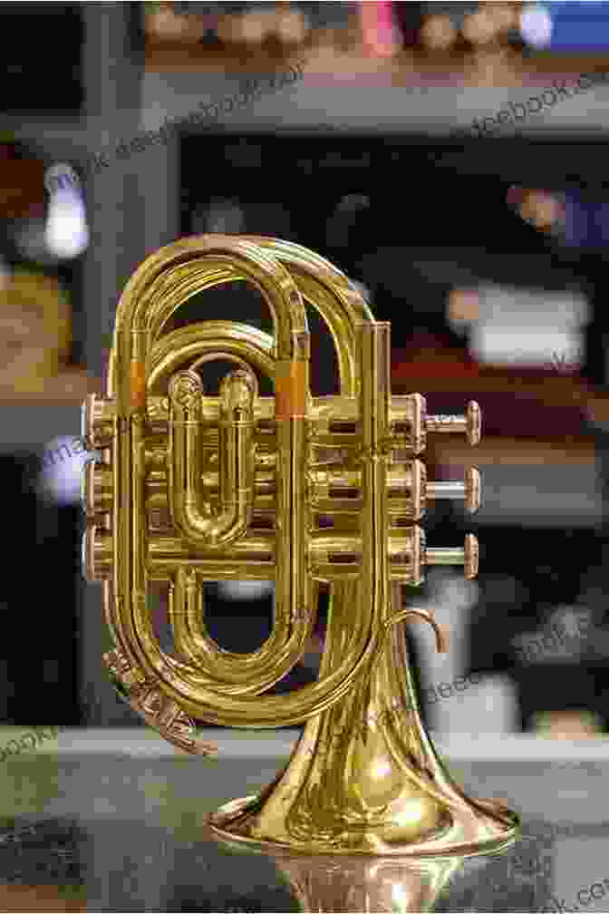 A Brass Instrument With A Wide, Flared Bell And A Large Mouthpiece, Ideal For Beginners Student Instrumental Course: Baritone (B C ) Student Level 2