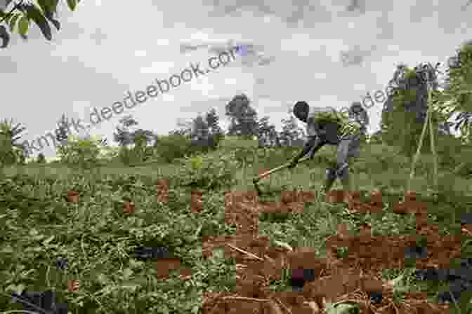 A Farmer Tills The Soil In A Field In Eastern Ethiopia Ploughing New Ground: Food Farming Environmental Change In Ethiopia (Eastern Africa 38)