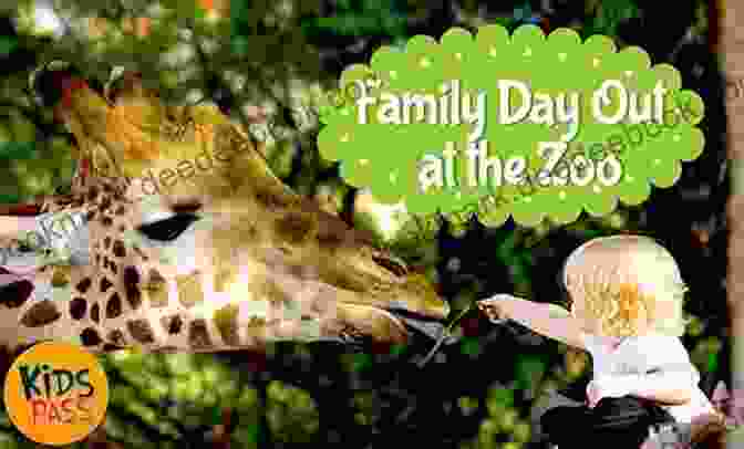 A Group Of Families Enjoying A Memorable Day At The Zoo Elmwood Park Zoo (Images Of Modern America)