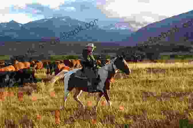 A Panoramic View Of A Sprawling Cowboy Ranch In The American West Westerly (Images Of America) Patrick C Jobes