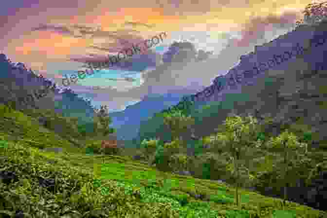 A Panoramic View Of Munnar Hill Station, Nestled Amidst Verdant Tea Plantations In Kerala The Rough Guide To Kerala (Rough Guides)