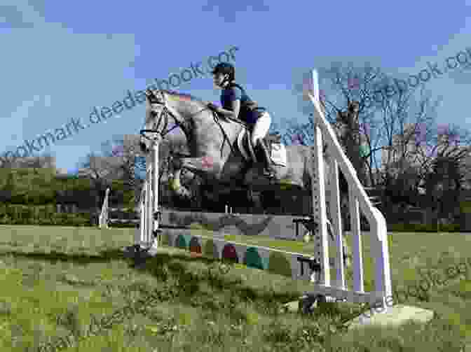 A Rider And Horse Clear A Show Jumping Fence Pride (The Eventing 2)