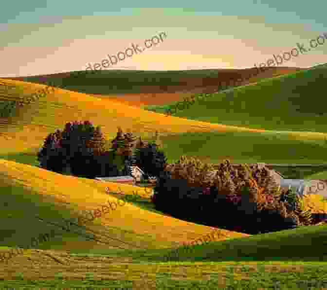 A Scenic View Of The Japanese Countryside, With Lush Green Fields, Rolling Hills, And Snow Capped Mountains In The Distance Journey Of Self: Six Months In The Japanese Countryside