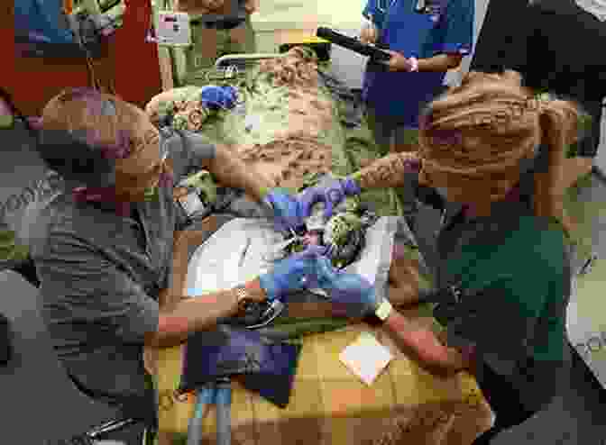 A Veterinarian Performing A Health Check On A Zebra Elmwood Park Zoo (Images Of Modern America)