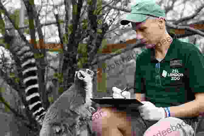 A Zoologist Conducting A Behavioral Study On A Group Of Penguins Elmwood Park Zoo (Images Of Modern America)