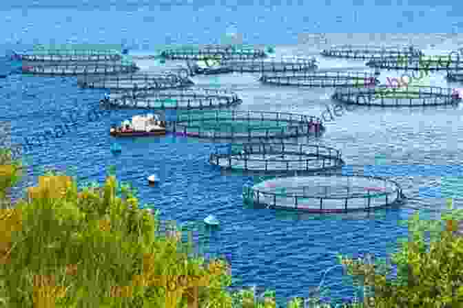 Aquaculture Fish Farm In A Coastal Area. Aquaculture And The Environment T V R Pillay