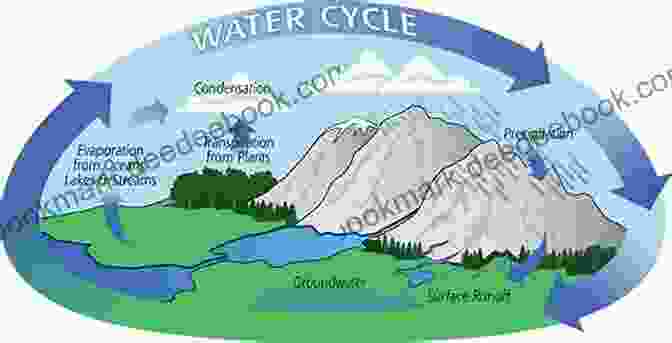 Diagram Of The Hydrological Cycle Global Physical Climatology (ISSN 56)