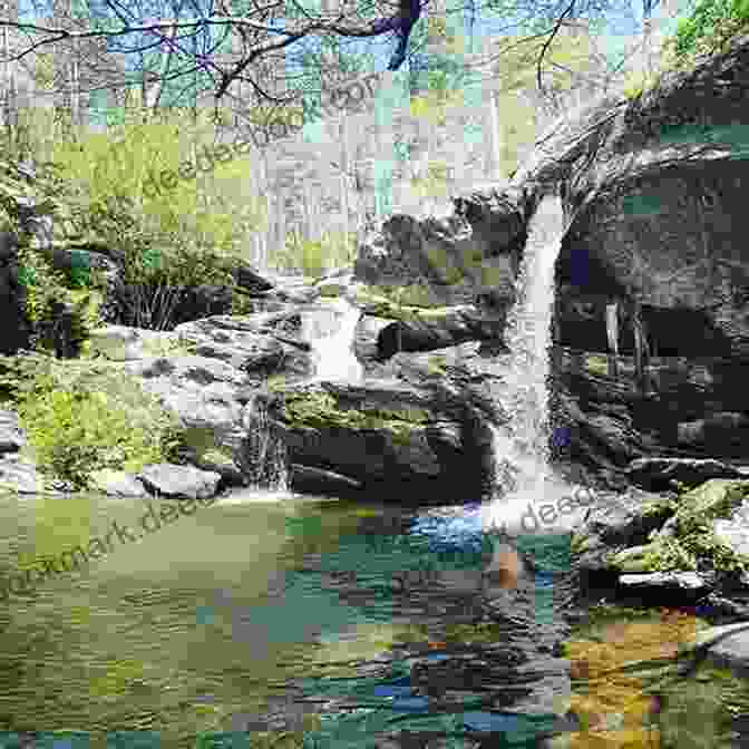 Hiker On The Chinnabee Silent Trail At Cheaha State Park Hiking Through History Alabama: Exploring The Heart Of Dixie S Past By Trail From The Selma Historic Walk To The Confederate Memorial Park