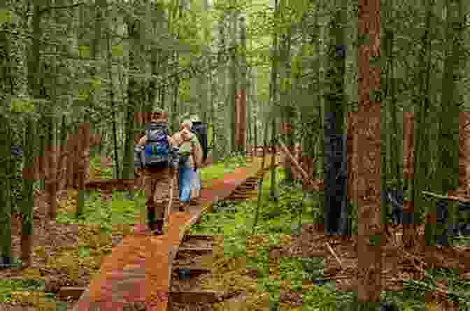 Hikers Enjoying A Scenic Regional Trail Hiking Greater Toronto Niagara Peninsula