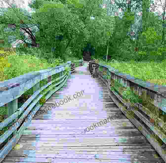 Hikers Enjoying The Waterfront Trail In Toronto Hiking Greater Toronto Niagara Peninsula