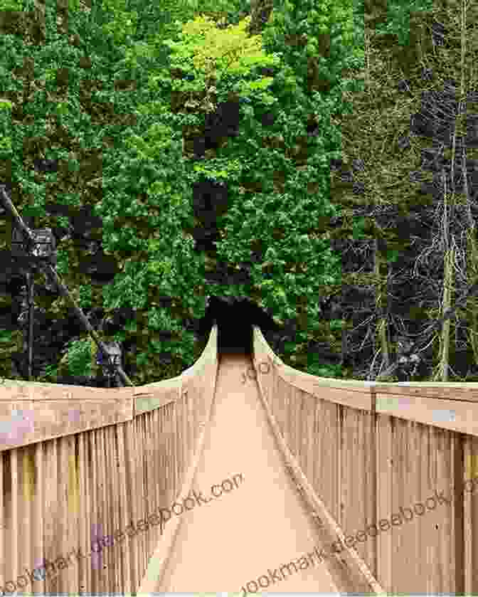 Hikers Traversing A Scenic Trail In The Toronto And Niagara Peninsula Region Hiking Greater Toronto Niagara Peninsula