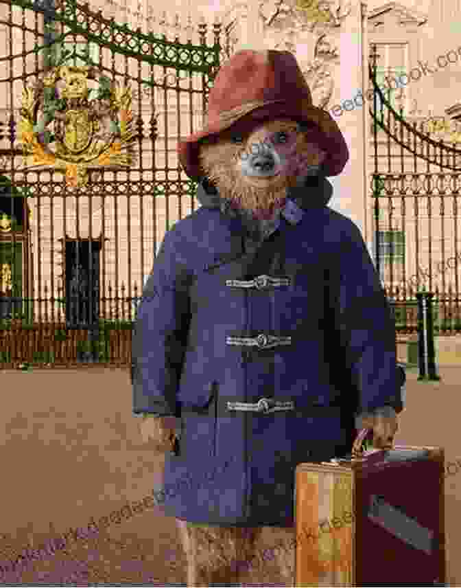 Paddington Bear In A Red Hat And Blue Duffle Coat Stands In Front Of A Brick Wall, Looking Up At The Reader With His Characteristically Curious Expression Paddington Marches On Michael Bond