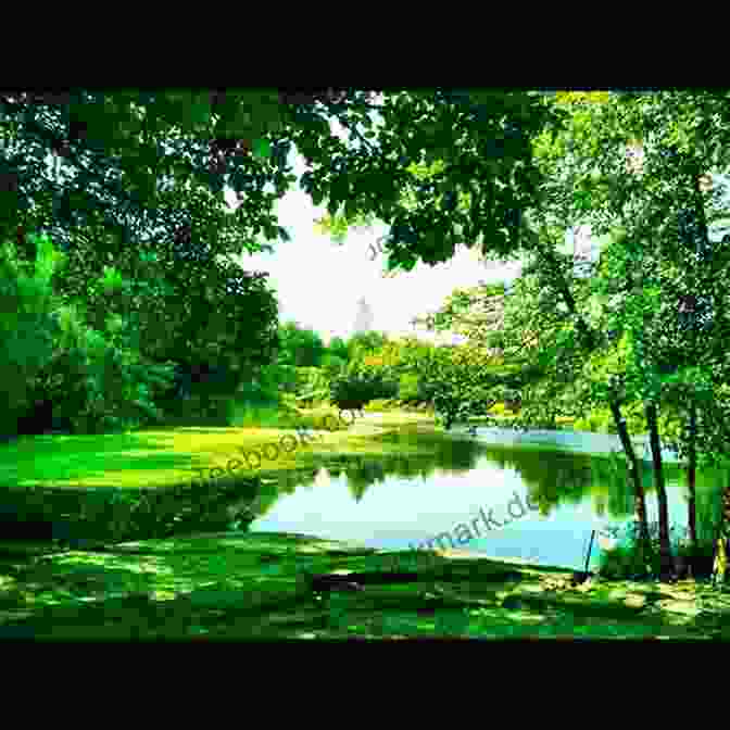 Tyler Relaxing On A Bench In Central Park, Surrounded By Lush Greenery Tyler Travels New York City