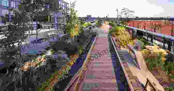 Tyler Walking Along The High Line, Surrounded By Greenery And City Views Tyler Travels New York City