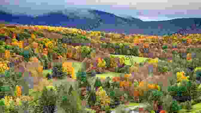 Vibrant Fall Foliage In The Berkshires With Rolling Hills, Colorful Trees, And A Winding Road The Rough Guide To New England (Rough Guide To )