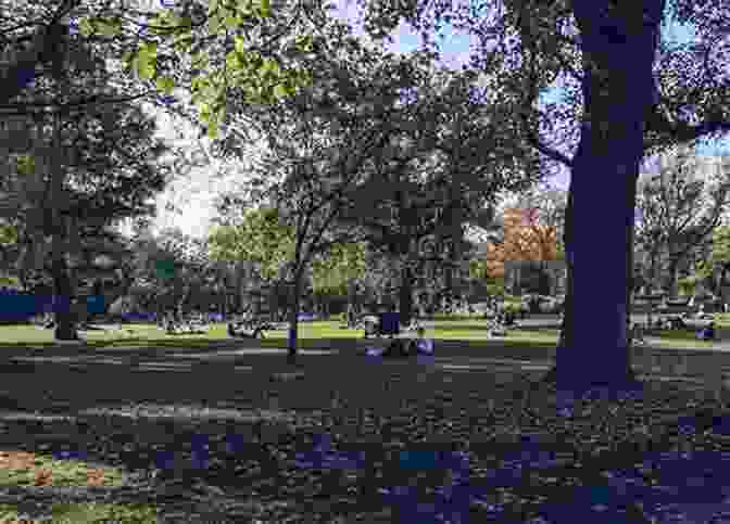 Vondelpark With People Relaxing On The Grass Top Ten Sights: Amsterdam