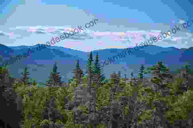 White Mountains Of New Hampshire With Snow Capped Peaks And Alpine Meadows The Rough Guide To New England (Rough Guide To )