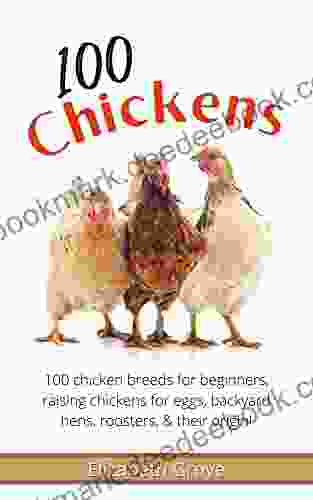 100 Chickens: 100 Chicken Breeds for beginners raising chickens for eggs backyard hens roosters their origin