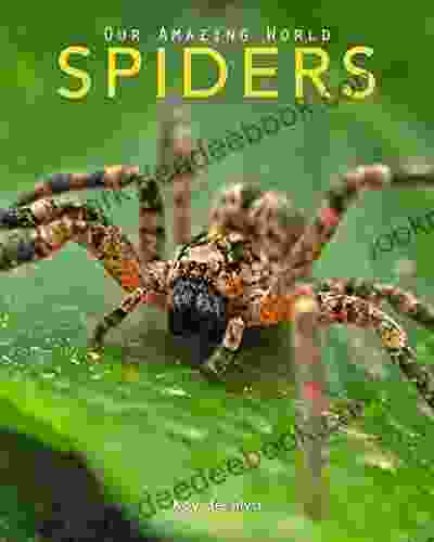 Spiders: Amazing Pictures Fun Facts On Animals In Nature (Our Amazing World 7)