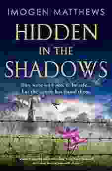 Hidden in the Shadows: An utterly gripping and heartbreaking World War II historical novel about love and impossible choices (Wartime Holland 2)