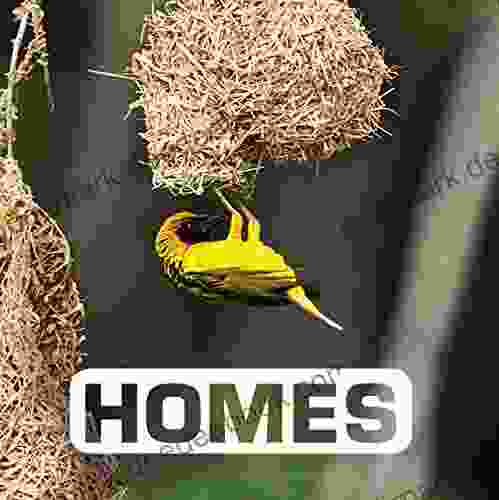 Homes (Picture This) Kalli Dakos