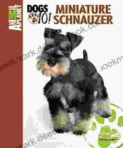 Miniature Schnauzer (Animal Planet Dogs 101)