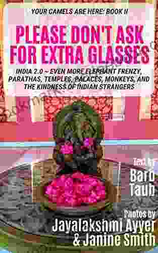 Please Don T Ask For Extra Glasses: Your Camels Are Here 2 Even More Elephant Frenzy Parathas Temples Palaces Camels And The Kindness Of Indian Strangers