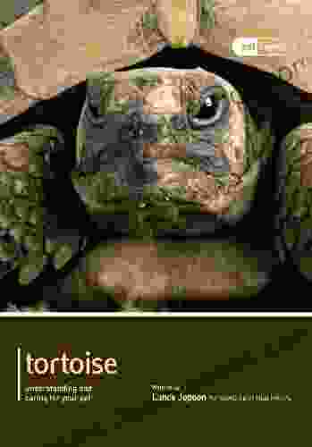 Tortoise (Expert 2) Jennifer Betters Bubon